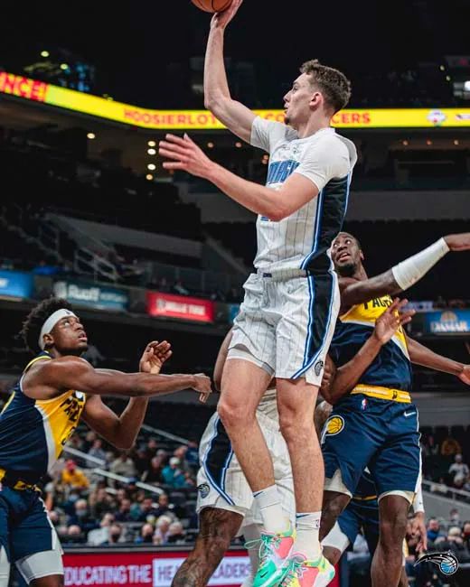 天津津门虎 天津津门虎