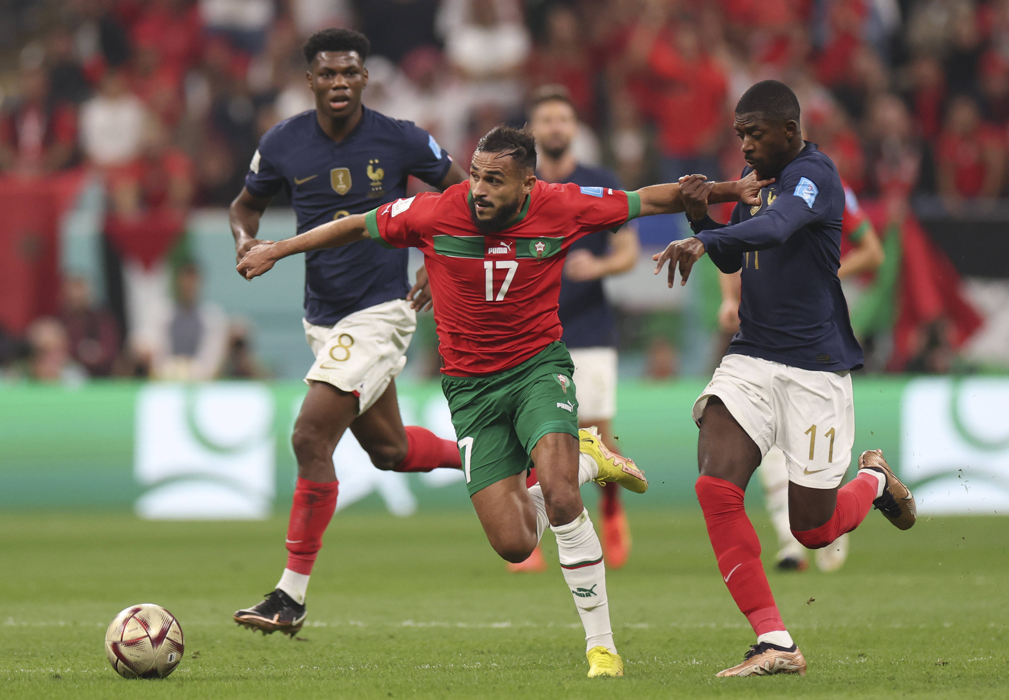 世界棒球经 世界棒球经