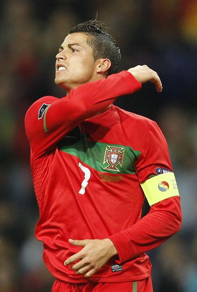 制见长的马 制见长的马